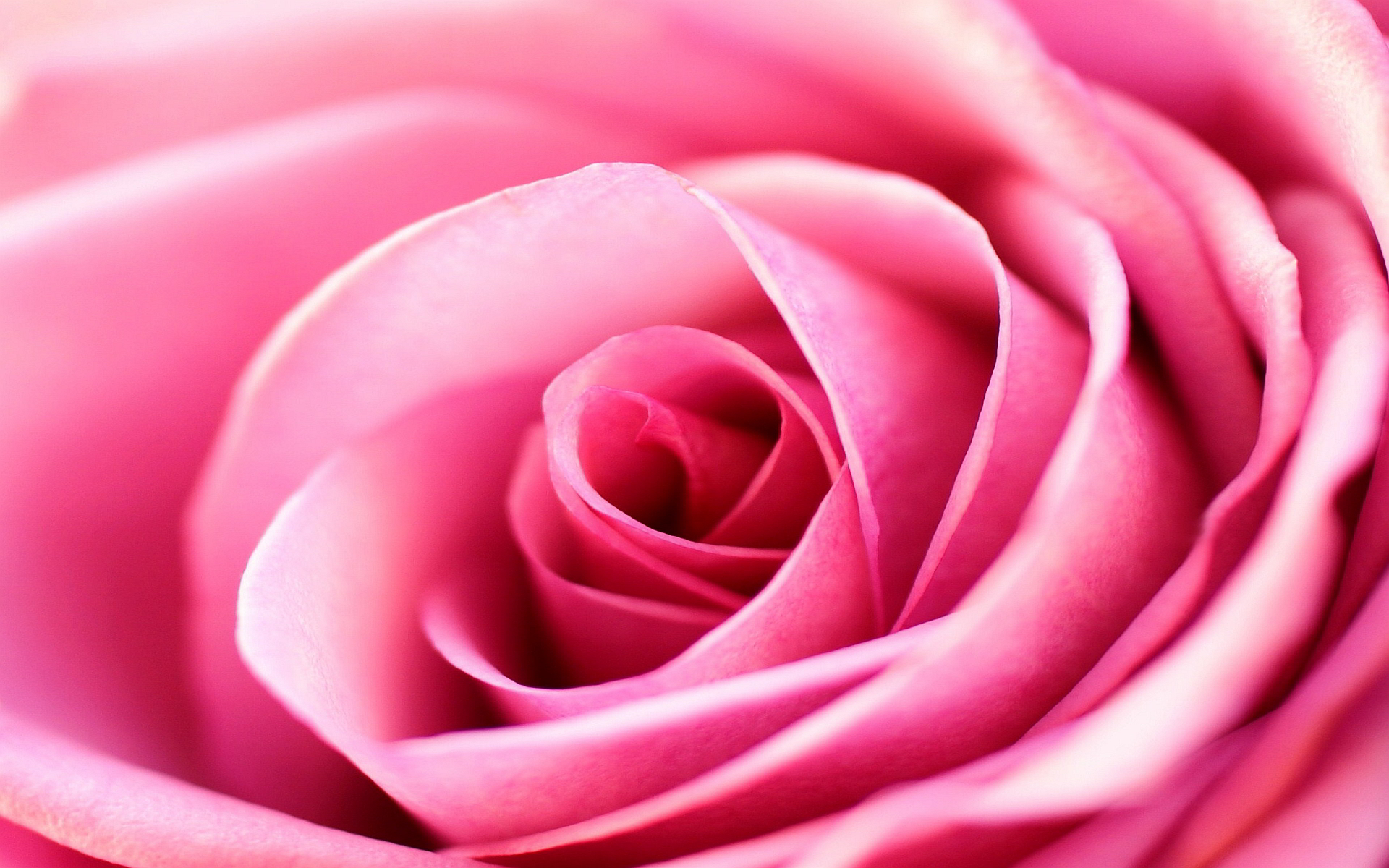 Waridi Womens Magazine background